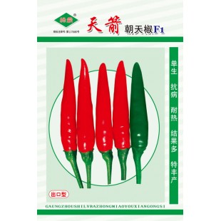 广州绿霸 天箭单生朝天椒种子 单生 抗病 耐热 结果多 特丰产 辣椒种子 5克装