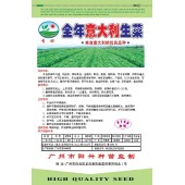 广州阳兴 全年意大利生菜种子 耐热 耐寒 耐抽苔 生菜种子 10克装