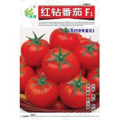 清远清蔬 红钻高档硬果番茄种子 早熟性好 抗病 ...