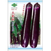 广州绿霸 火金钢紫红长茄种子 果靓 高温季节不变色 抗病性强 特丰产 很有推广价值和发展潜力的新品种 茄子种子 5克装