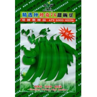 广东爱普农 奇珍76甜豌豆种子 早生 高产 白花 生长强健  非常甜脆 品质优良 出口豌豆首选 豌豆种子 400克装